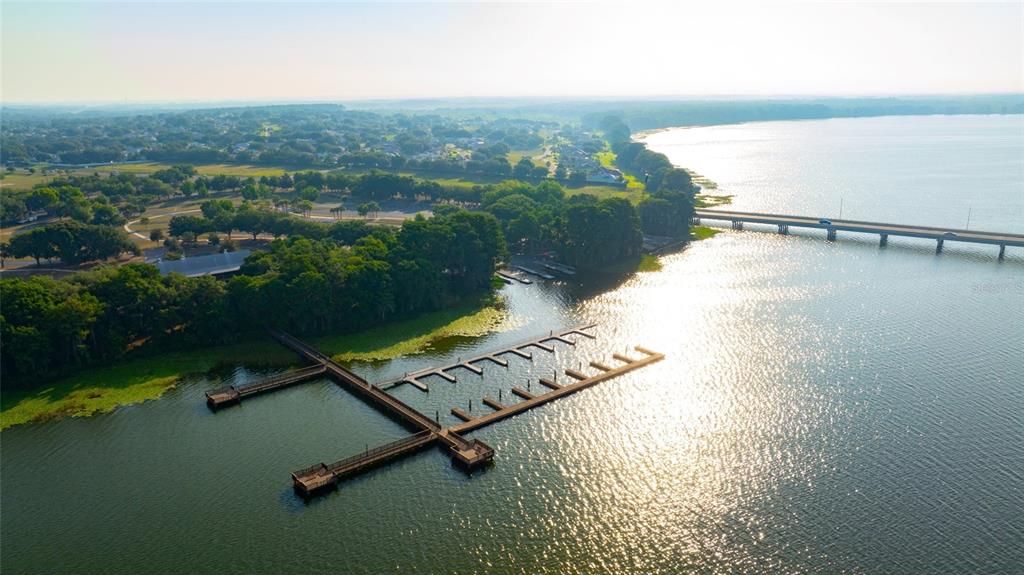 1615 Bellagio Loop Tavares, FL 32778 - Photo 34 of 39 an aerial view of a yard