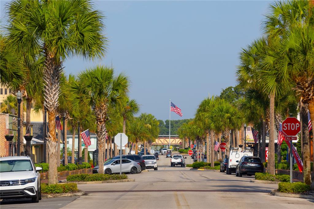1615 Bellagio Loop Tavares, FL 32778 - Photo 37 of 39 a row of palm trees sitting in front of a building