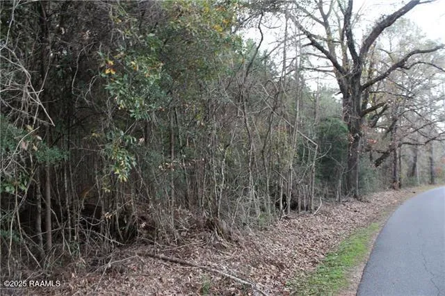 $129,000 | 0 East East River, Glenmora, LA 71433