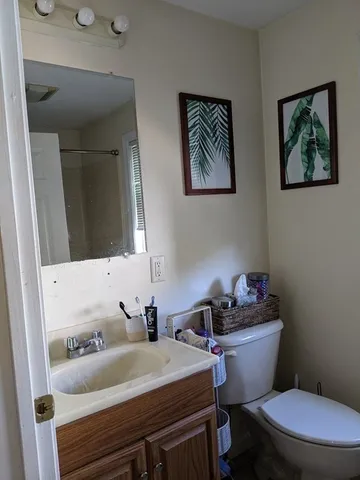 a bathroom with a sink mirror vanity and toilet