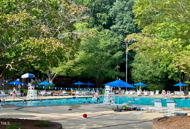 a view of a backyard with a small trees
