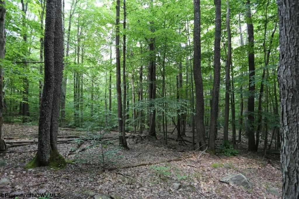 188 Cabin Mountain Road Davis, WV 26260 - Photo 5 of 15 Gallery Image 5