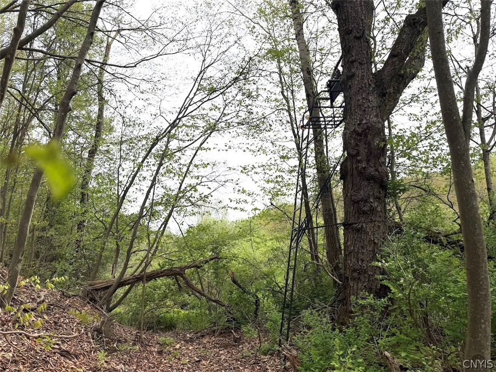 Reynolds Road Franklinville, NY 14737 - Photo 16 of 38