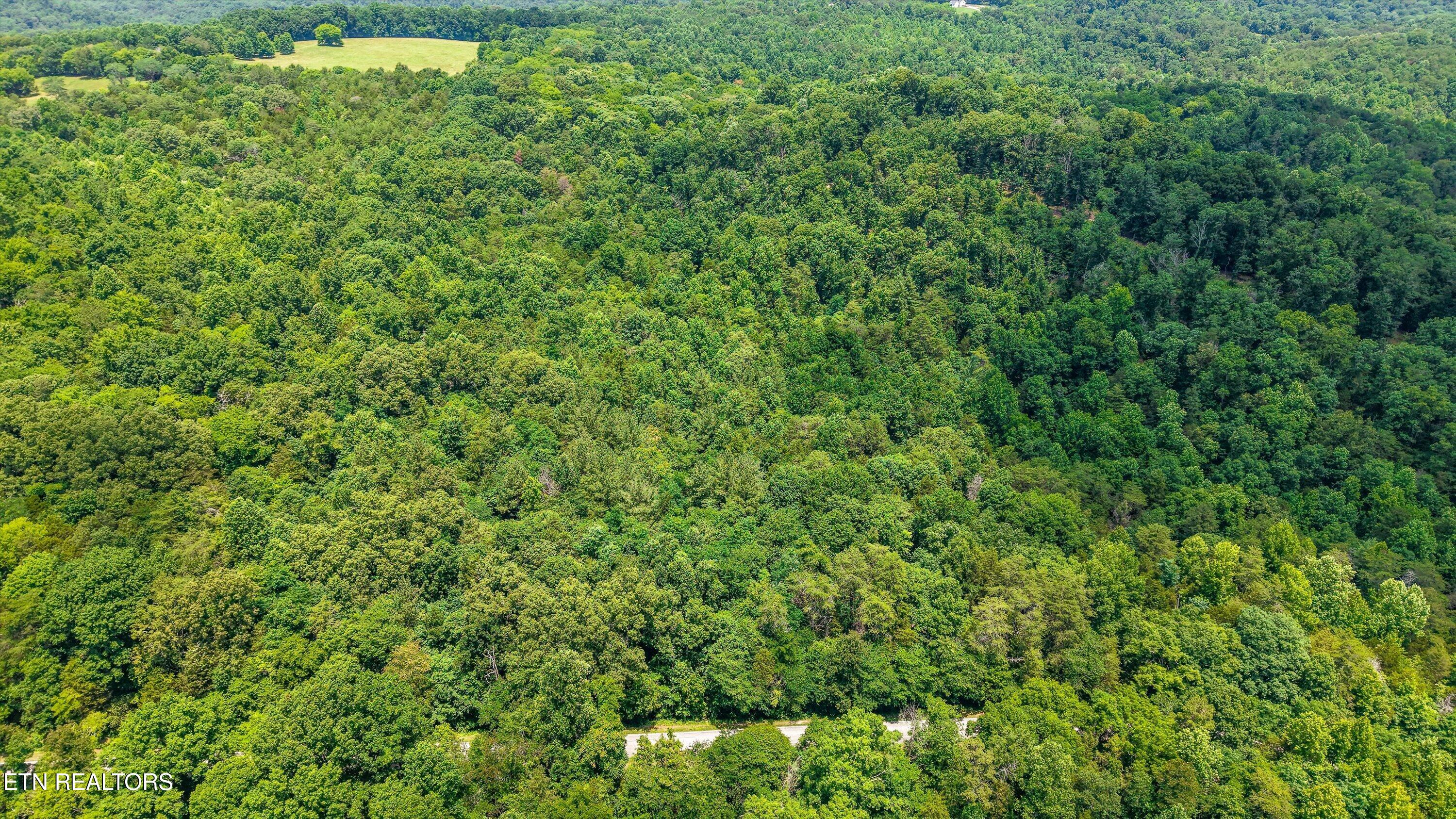 1499 Dogwood Valley Road Loudon, TN 37774 - Photo 8 of 13 01-1499 Dogwood Valley Rd 03