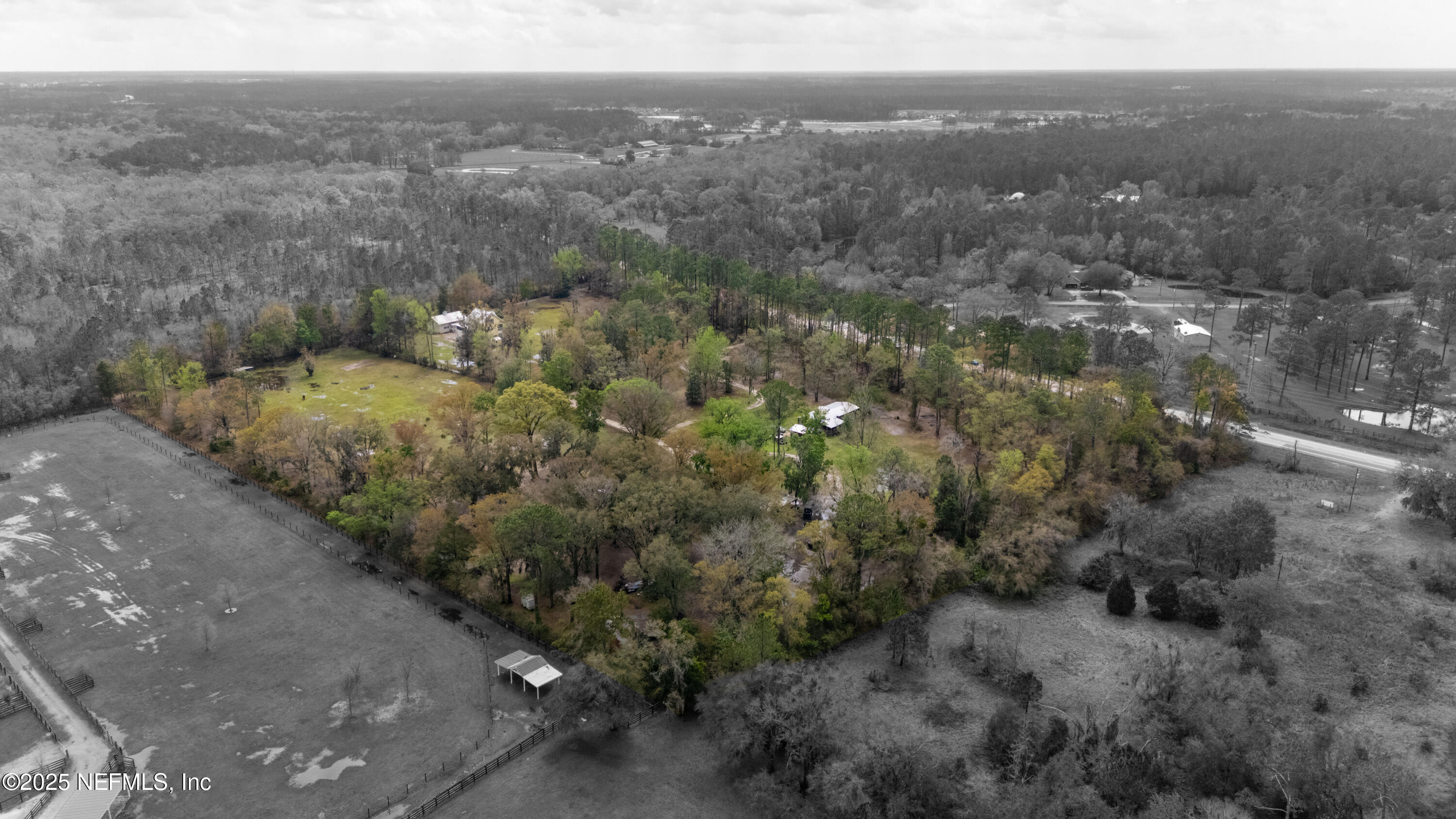 4430 Highway 16 St. Augustine, FL 32092 - Photo 6 of 9 a view of a big yard with green space