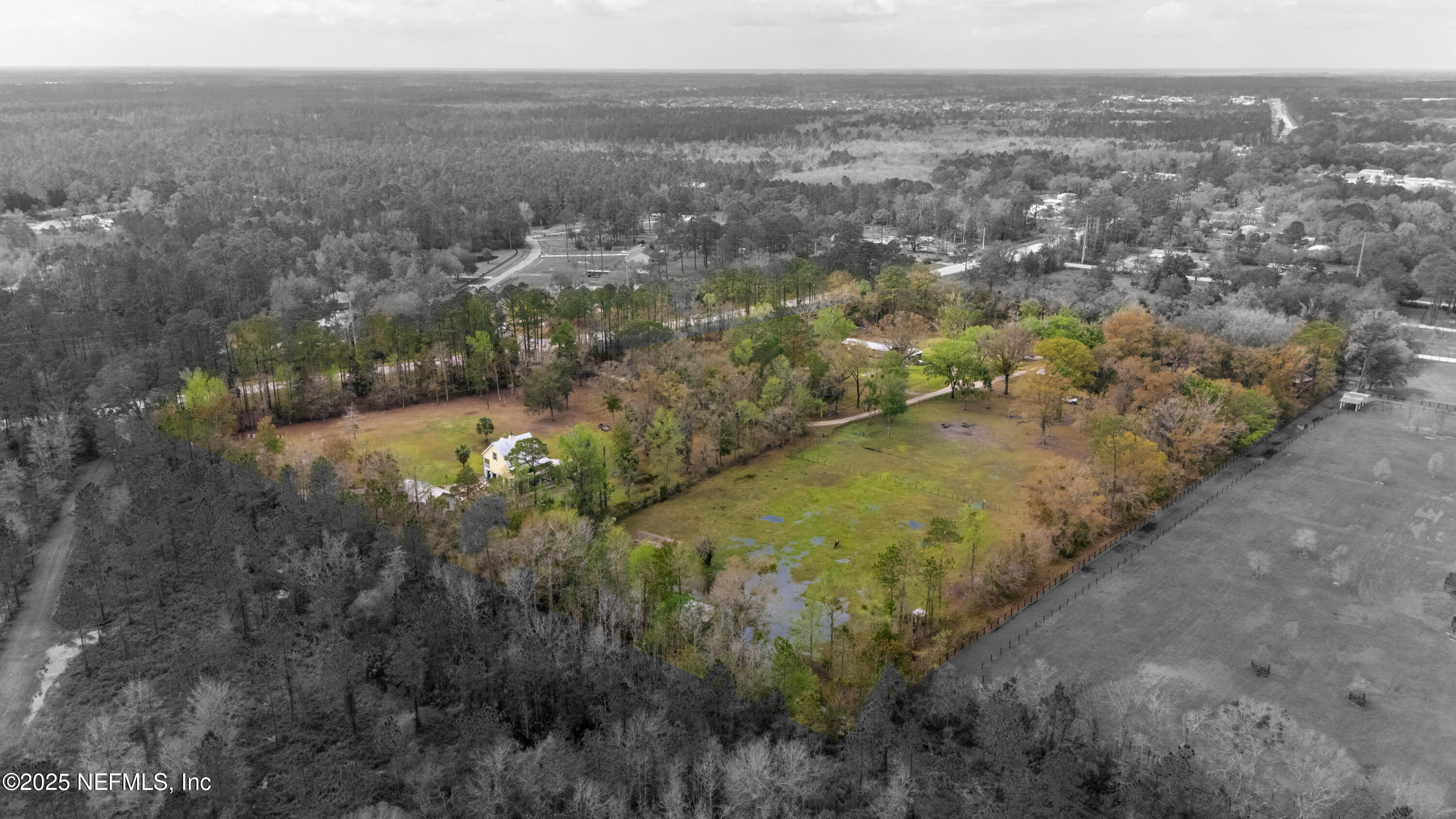4430 Highway 16 St. Augustine, FL 32092 - Photo 7 of 9 a view of a yard with green space and fog