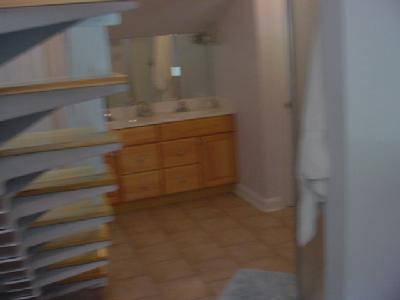 125 Buck Run Road Versailles, KY 40383 - Photo 9 of 22 Master bath with double sink, shower and