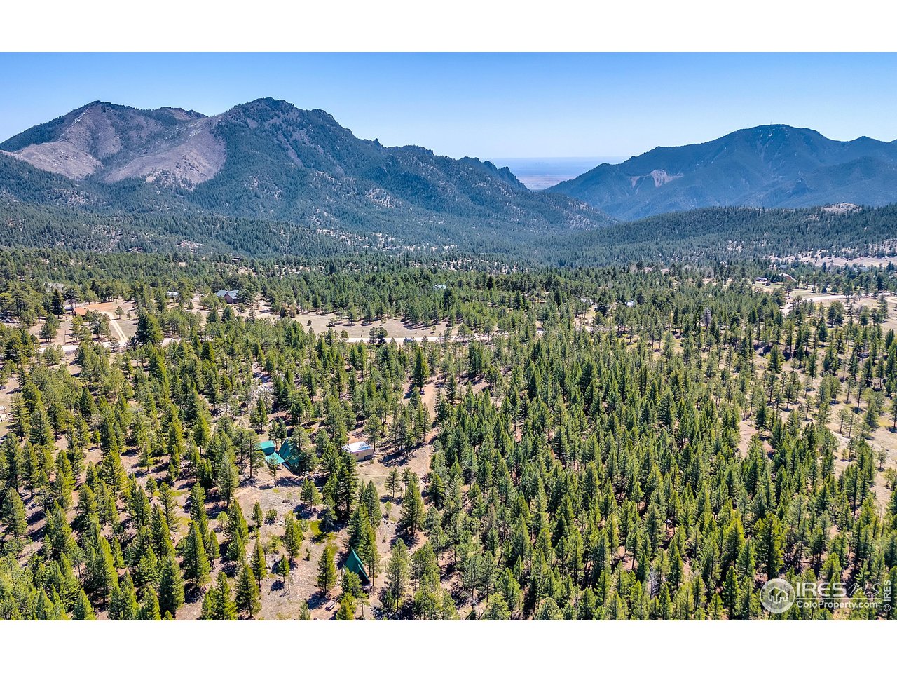 a view of a lush green hillside and a mountain