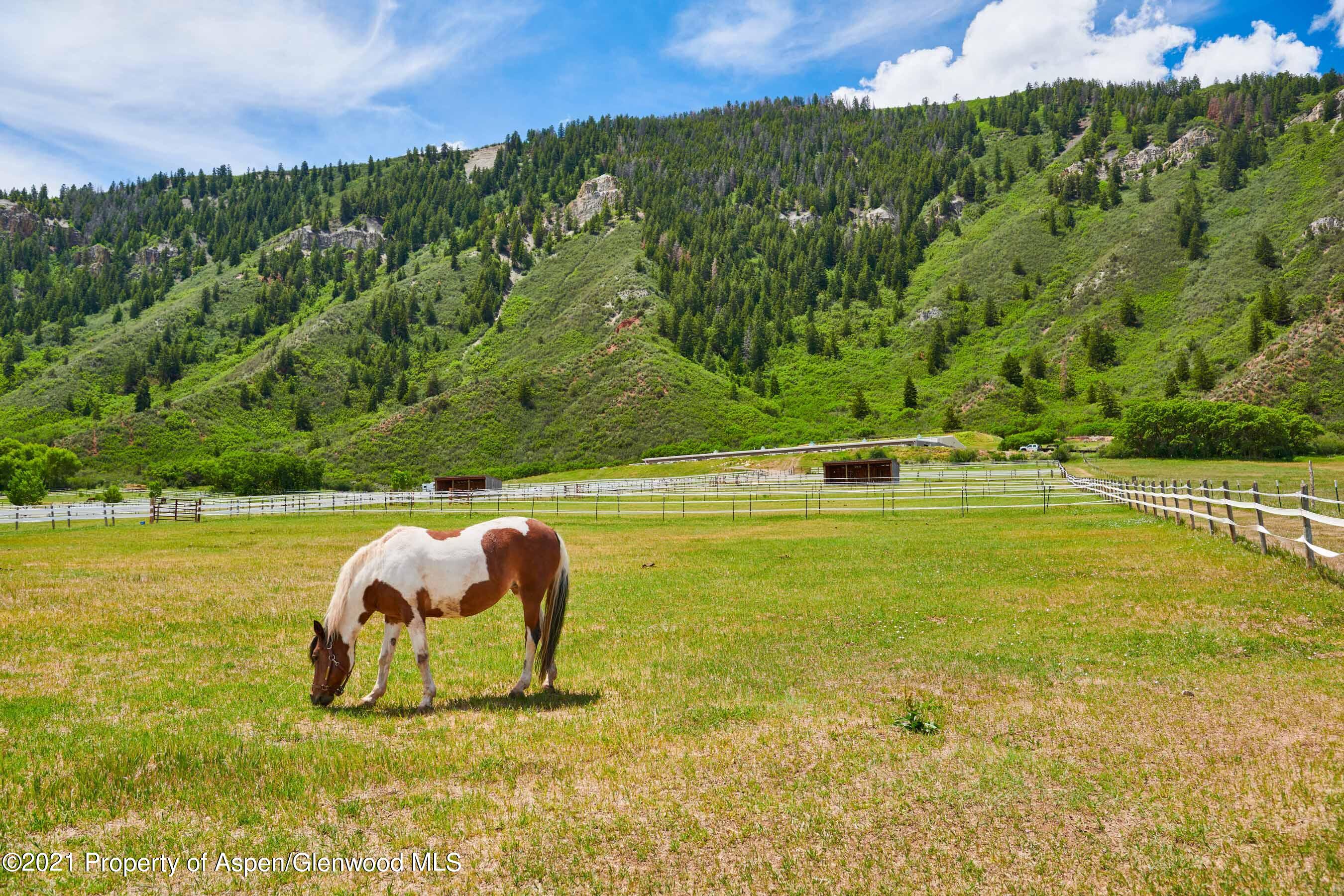 403 Lester Lane Basalt, CO 81621 - Photo 17 of 31 a view of a swimming pool with a yard