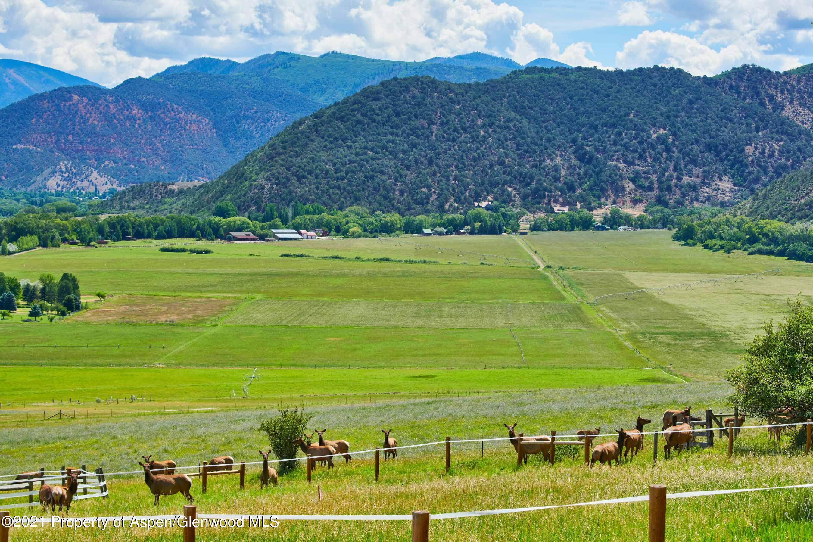 403 Lester Lane Basalt, CO 81621 - Photo 20 of 31 a view of an ocean yard and mountain view
