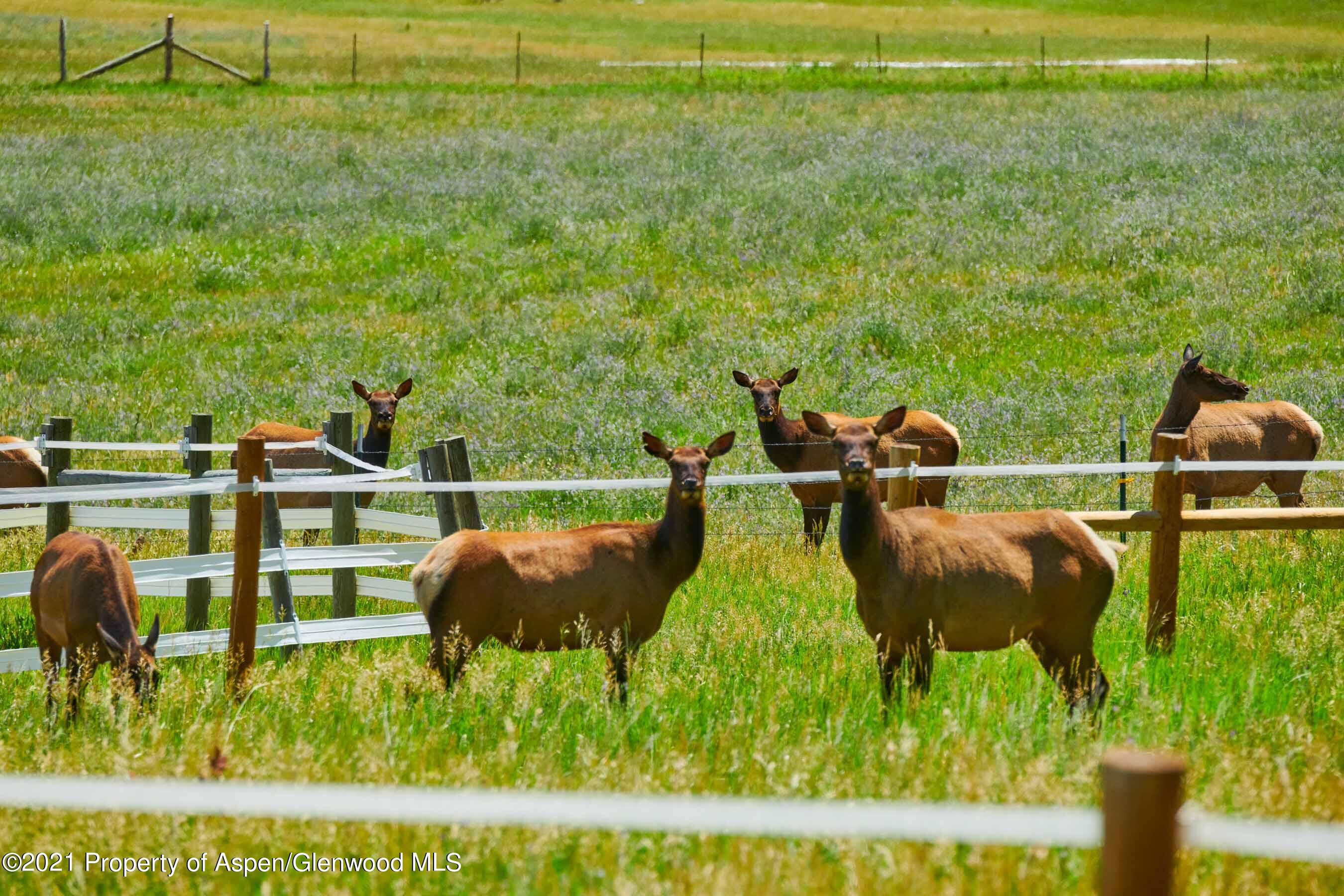 403 Lester Lane Basalt, CO 81621 - Photo 21 of 31 a view of an outdoor space and seating area