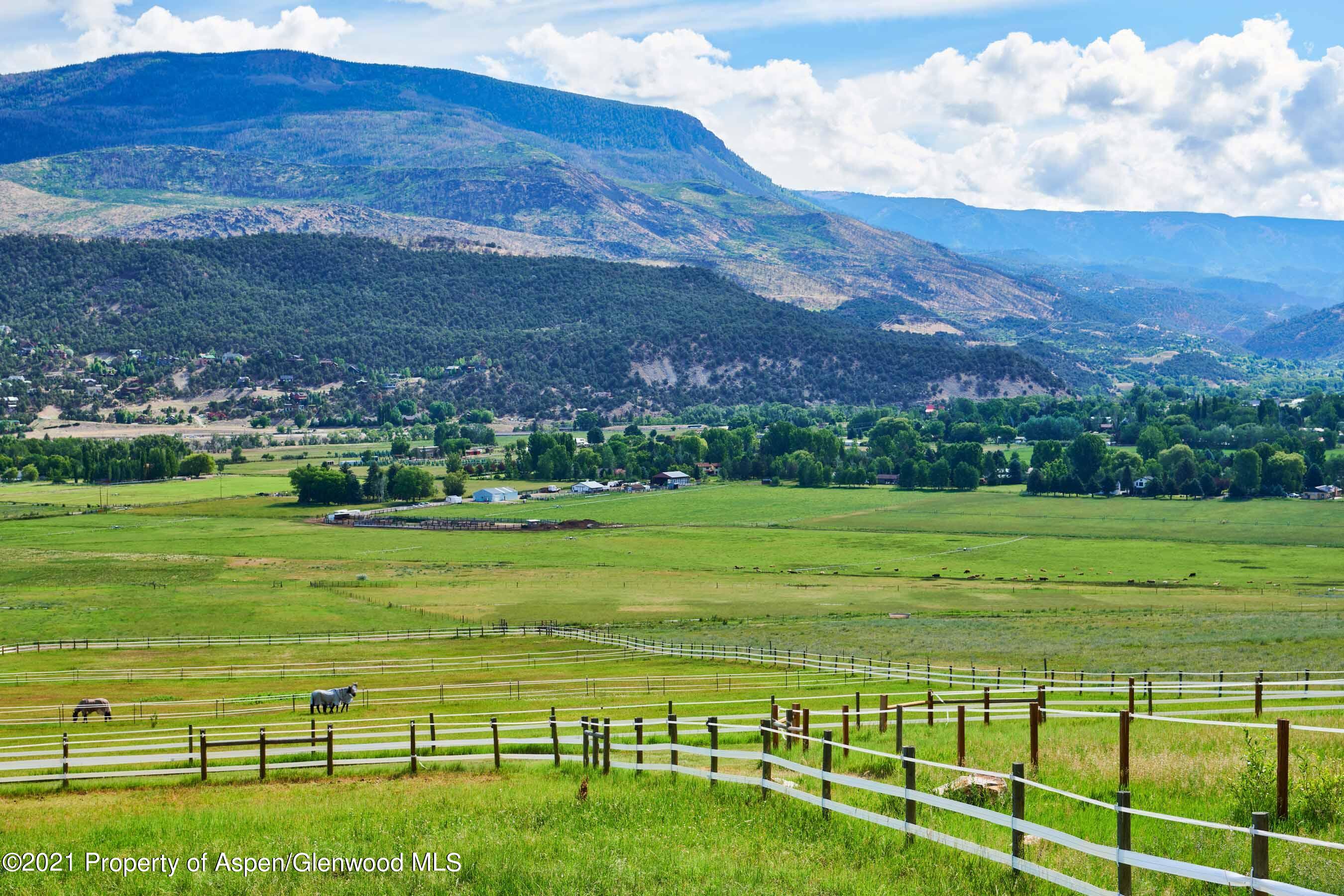 403 Lester Lane Basalt, CO 81621 - Photo 22 of 31 a big yard with lots of green space