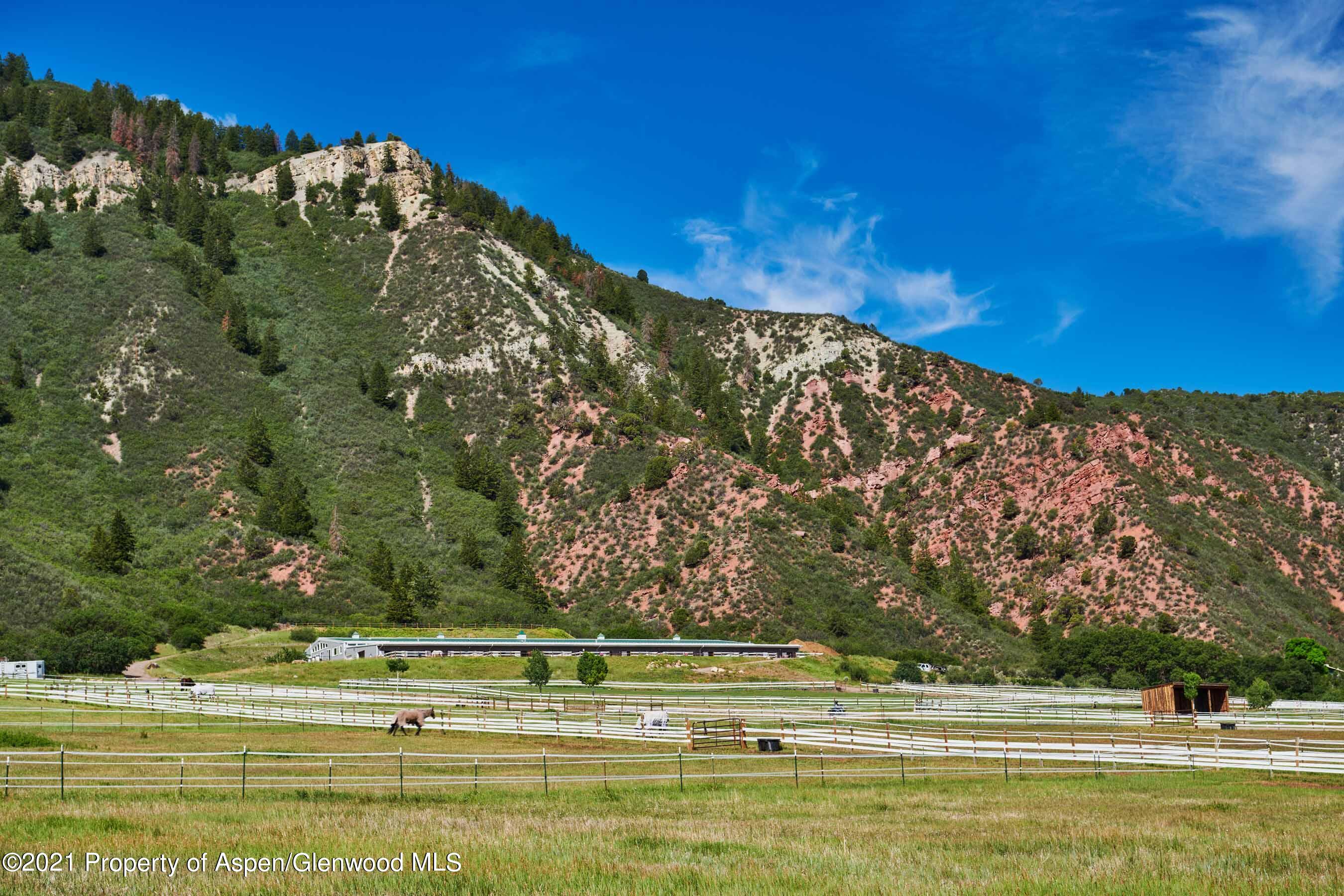 403 Lester Lane Basalt, CO 81621 - Photo 4 of 31