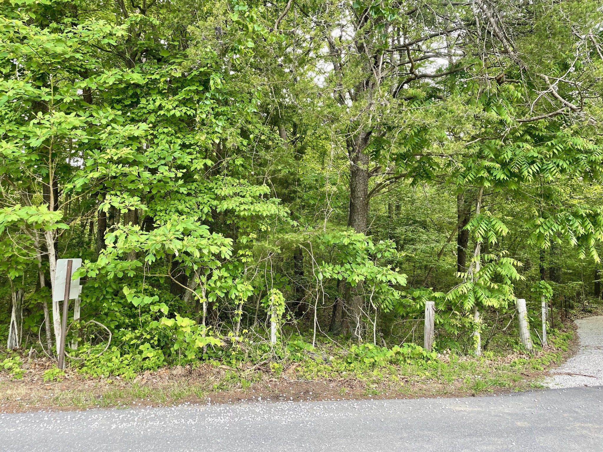 0 Jump Off Mountain Road Sewanee, TN 37375 - Photo 1 of 14 Gallery Image 1