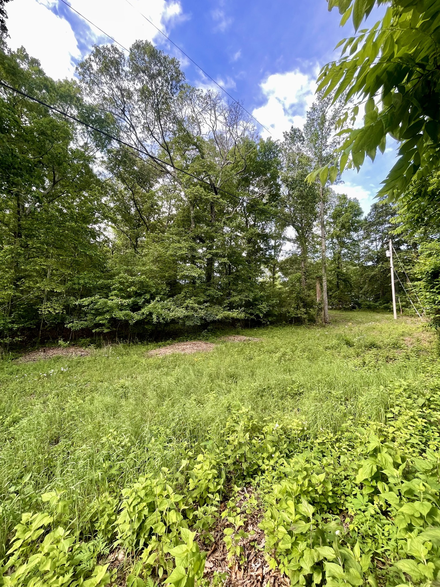 0 Jump Off Mountain Road Sewanee, TN 37375 - Photo 5 of 14 Gallery Image 5