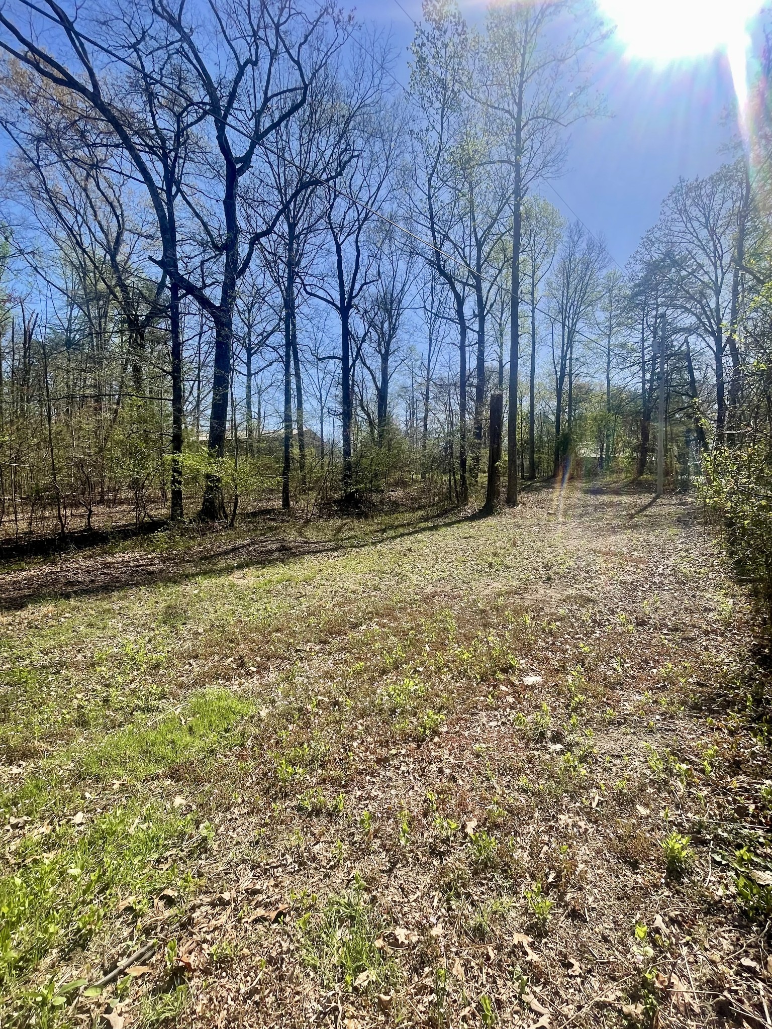 0 Jump Off Mountain Road Sewanee, TN 37375 - Photo 8 of 14 Gallery Image 8