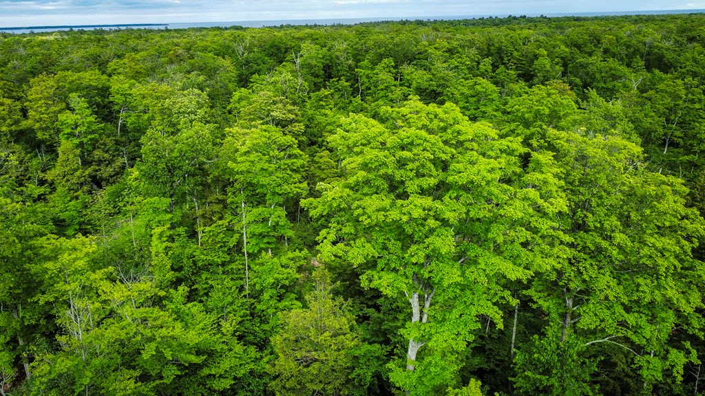 Tbd Lot3 Isle View Road Ellison Bay, WI 54210 - Photo 21 of 25 Gallery Image 21