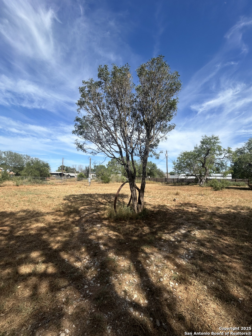 1208 Plum Street Jourdanton, TX 78026 - Photo 4 of 5 a view of yard with outdoor space