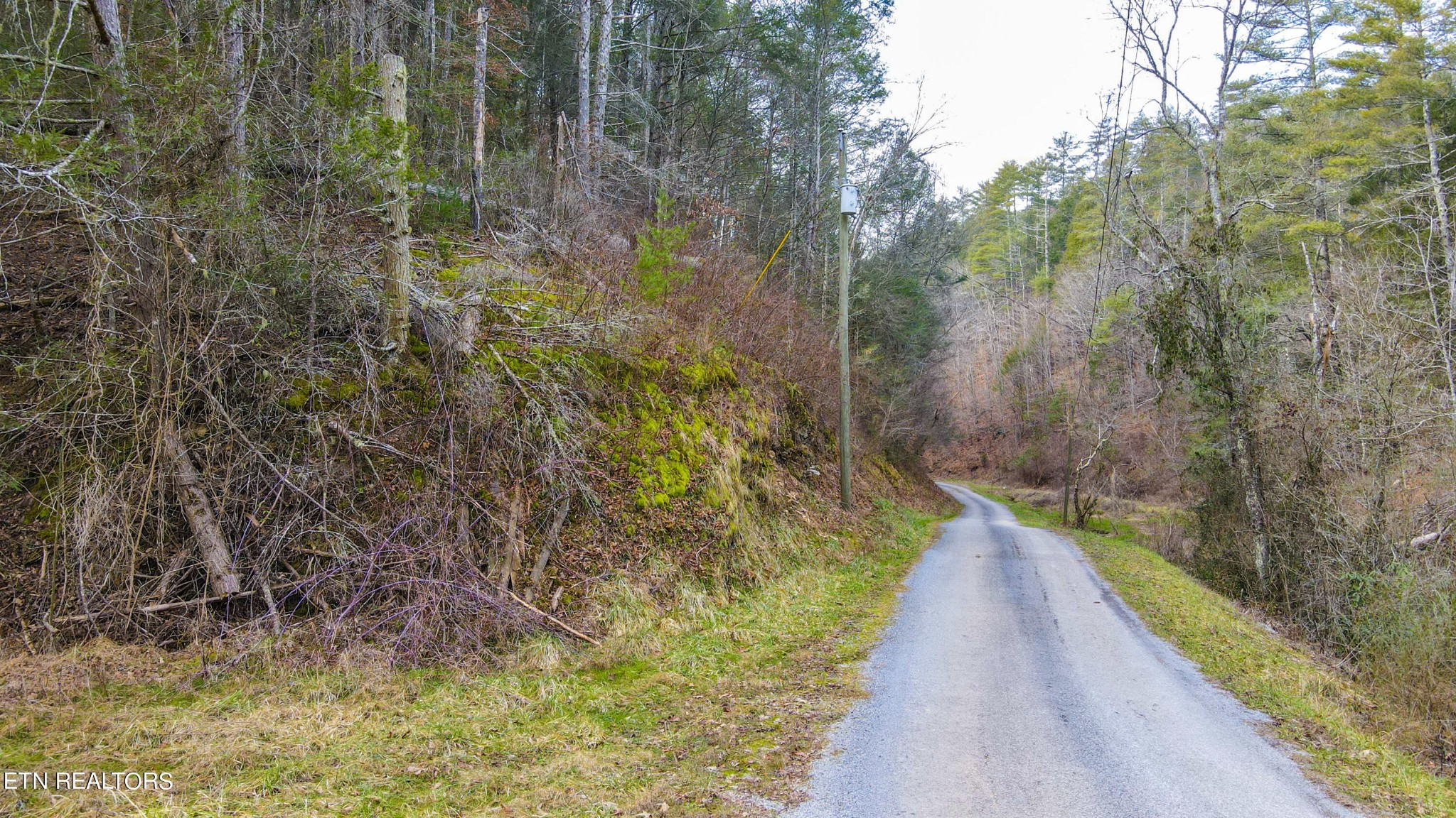 0 Antioch Church Road Vonore, TN 37885 - Photo 28 of 60 Gallery Image 28
