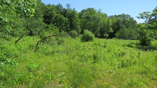 171 Red Bridge Road Ellsworth, ME 04605 - Photo 2 of 29 Photo