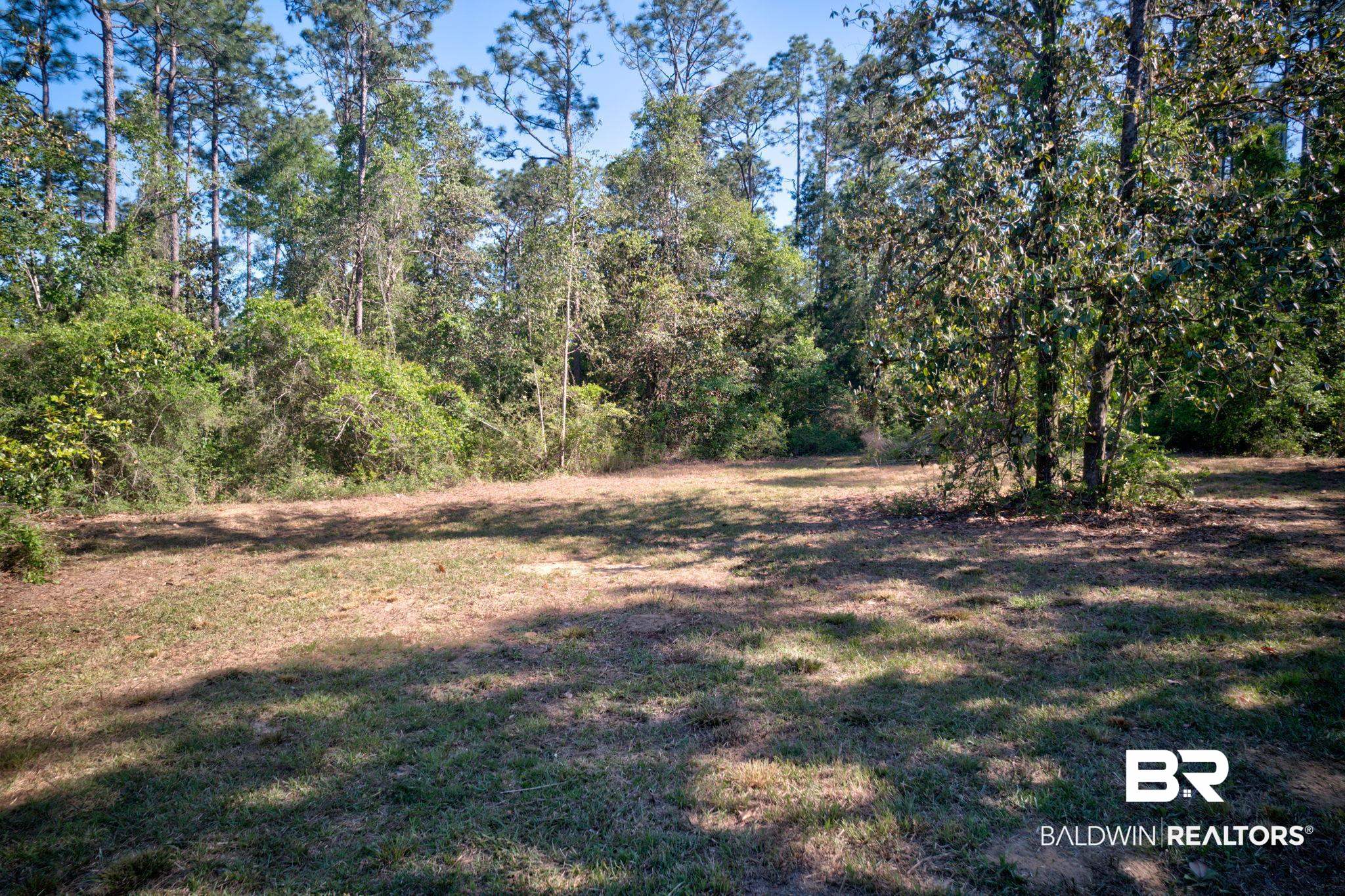 Fox Branch Drive Loxley, AL 36551 - Photo 11 of 15