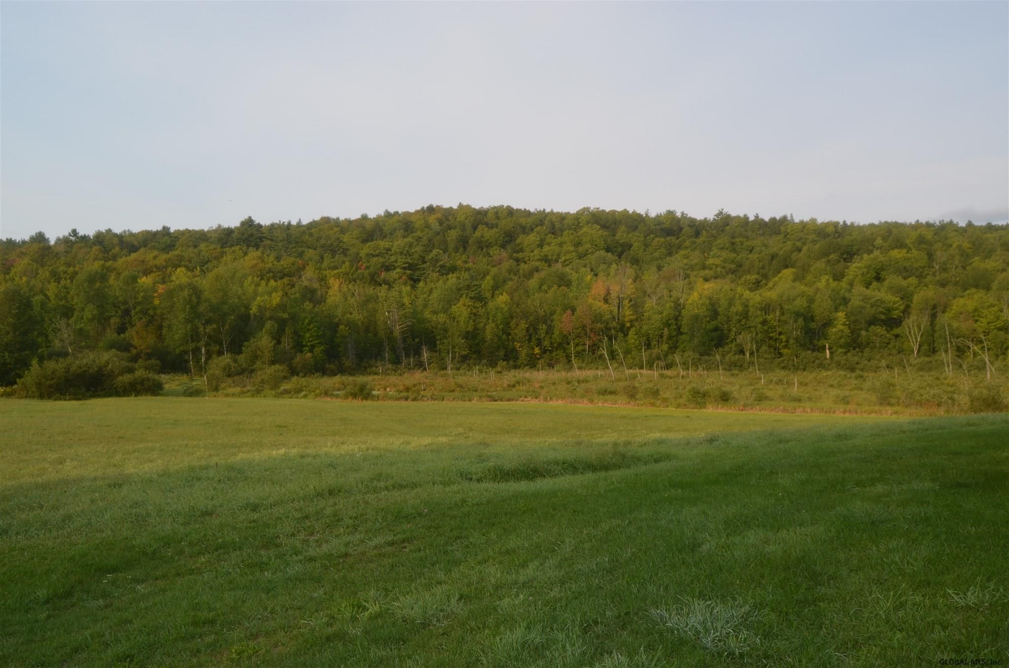130 Fred Carey Road Crown Point, NY 12928 - Photo 3 of 20 Photo 3