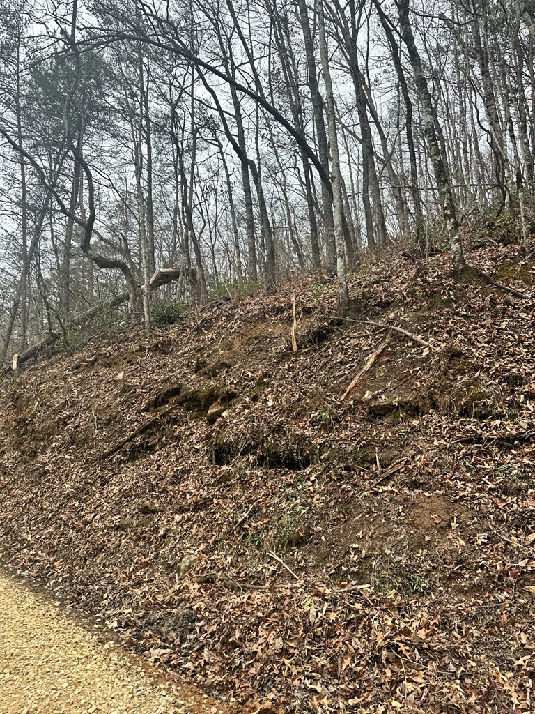 0 Tatham Gap Road Andrews, NC 28901 - Photo 5 of 7