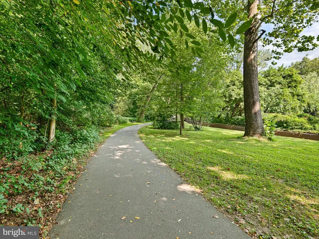 a view of a park with large trees