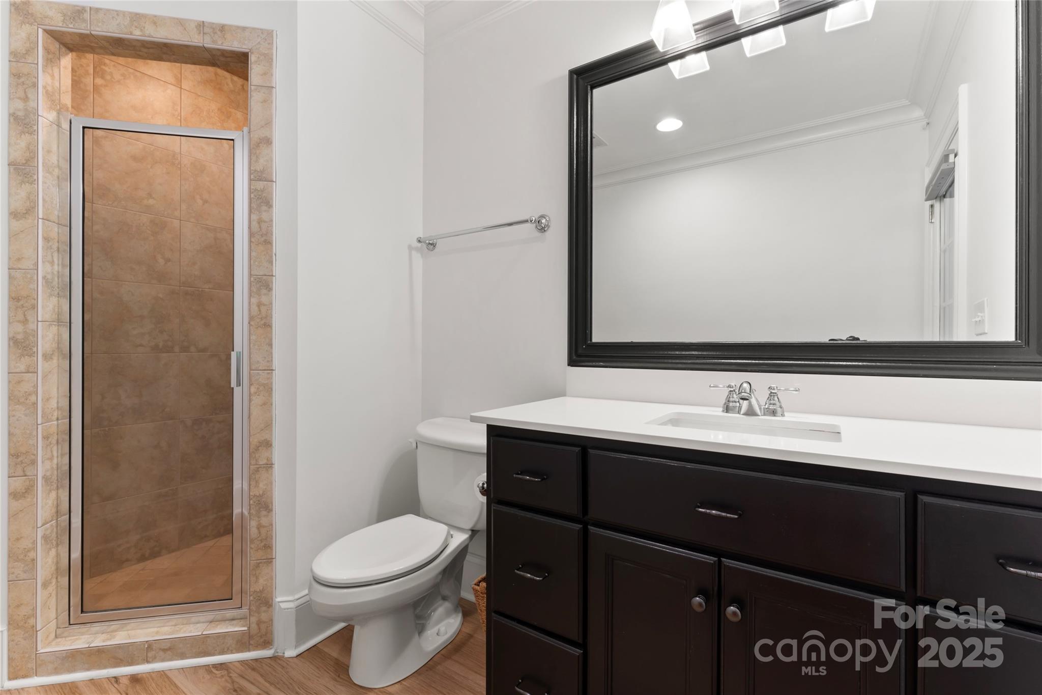 235 Grey Road Davidson, NC 28036 - Photo 30 of 37 a bathroom with a sink a toilet and shower