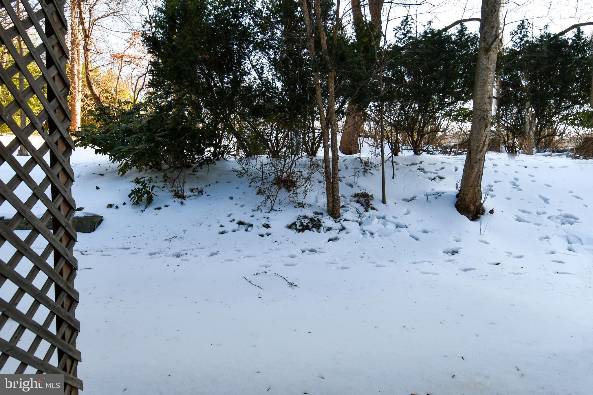 9201 Three Oaks Drive Silver Spring, MD 20901 - Photo 55 of 57