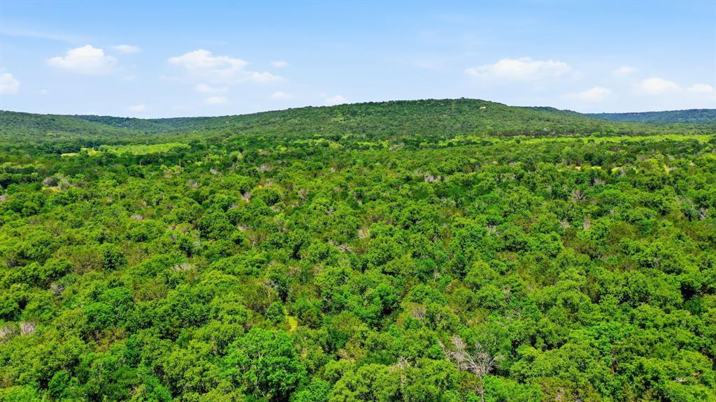 4320 Dobbs Valley Road Millsap, TX 76066 - Photo 21 of 40 a view of a green field with lots of bushes