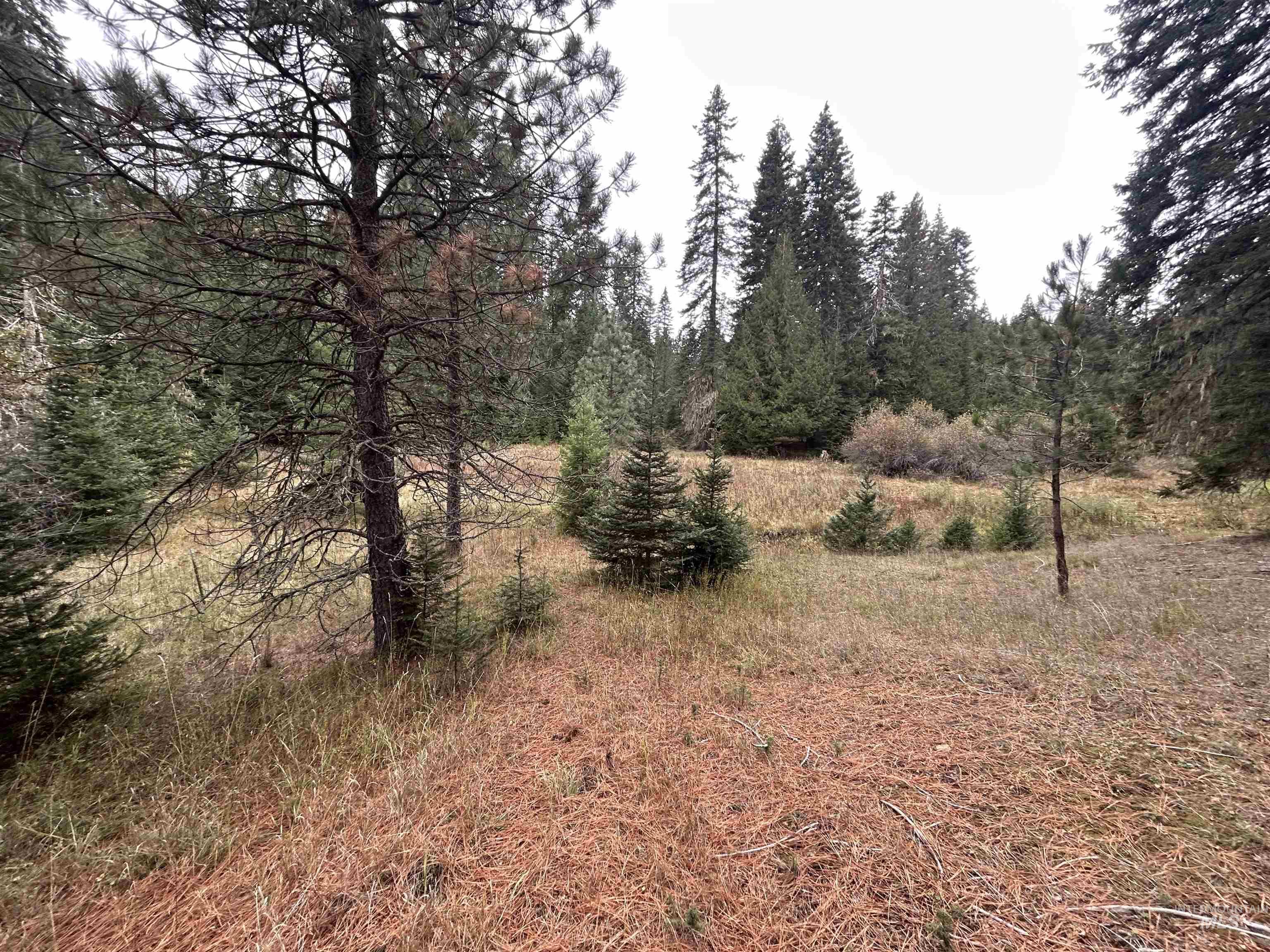 Tbd Lot 1 Tbd Road Kamiah, ID 83536 - Photo 13 of 16