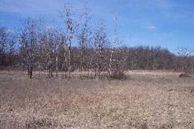 East Colby Road, Unit APP 1 Stanton, MI 48888 - Photo 1 of 1 Primary Photo