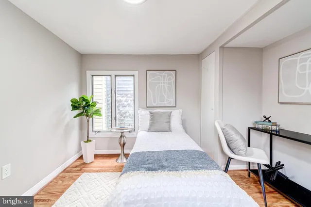 a living room with furniture rug and a potted plant