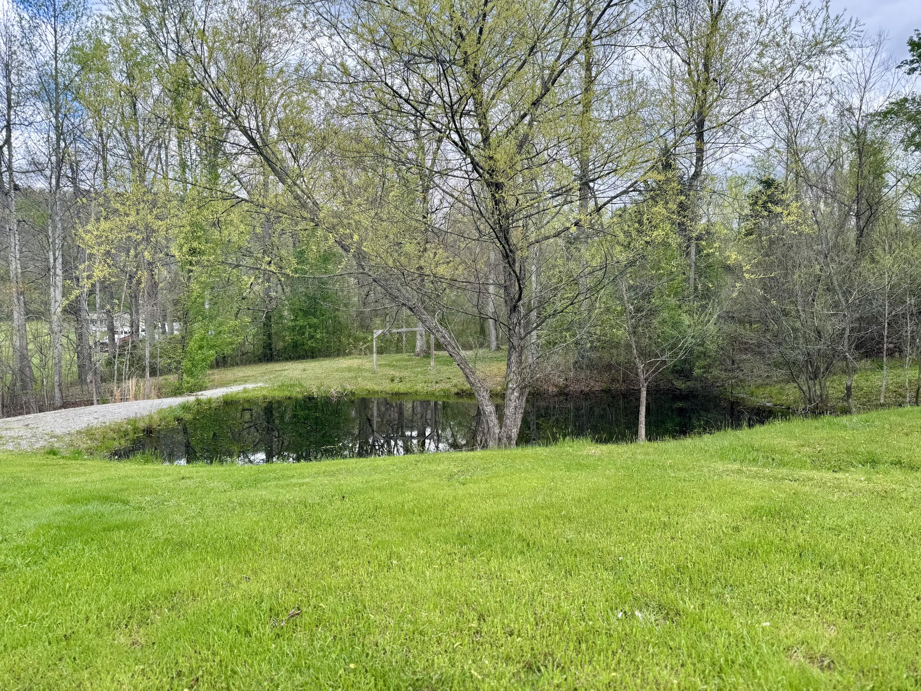 4115 Back Valley Road Evensville, TN 37332 - Photo 18 of 27 19-Pond 1