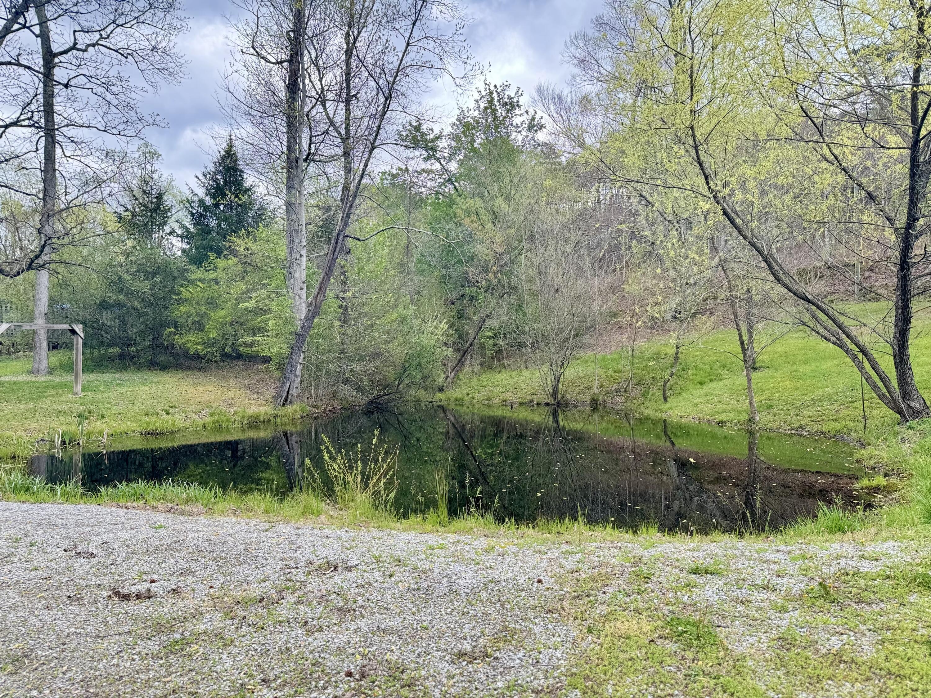4115 Back Valley Road Evensville, TN 37332 - Photo 19 of 27 20-Pond 1.5
