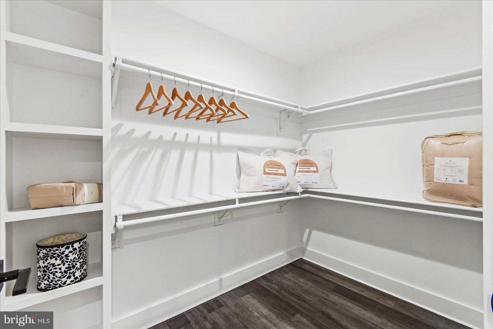 7206 Castaway Beach Road Orange, VA 22960 - Photo 50 of 64 Large walk-in closet with built-in shelves