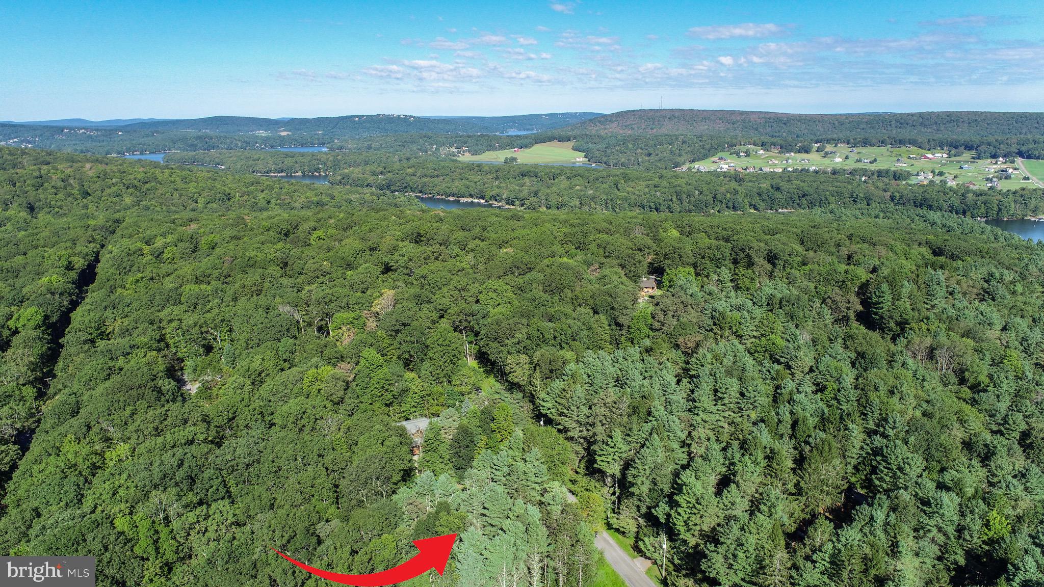189 Deer Run Lane Swanton, MD 21561 - Photo 43 of 67