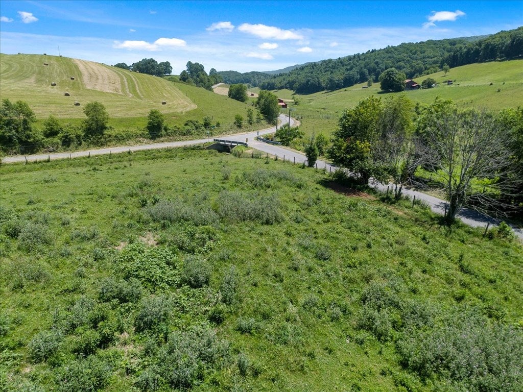 Tbd Tbd Foglesong Road Ceres, VA 24318 - Photo 3 of 19 Gallery Image 3