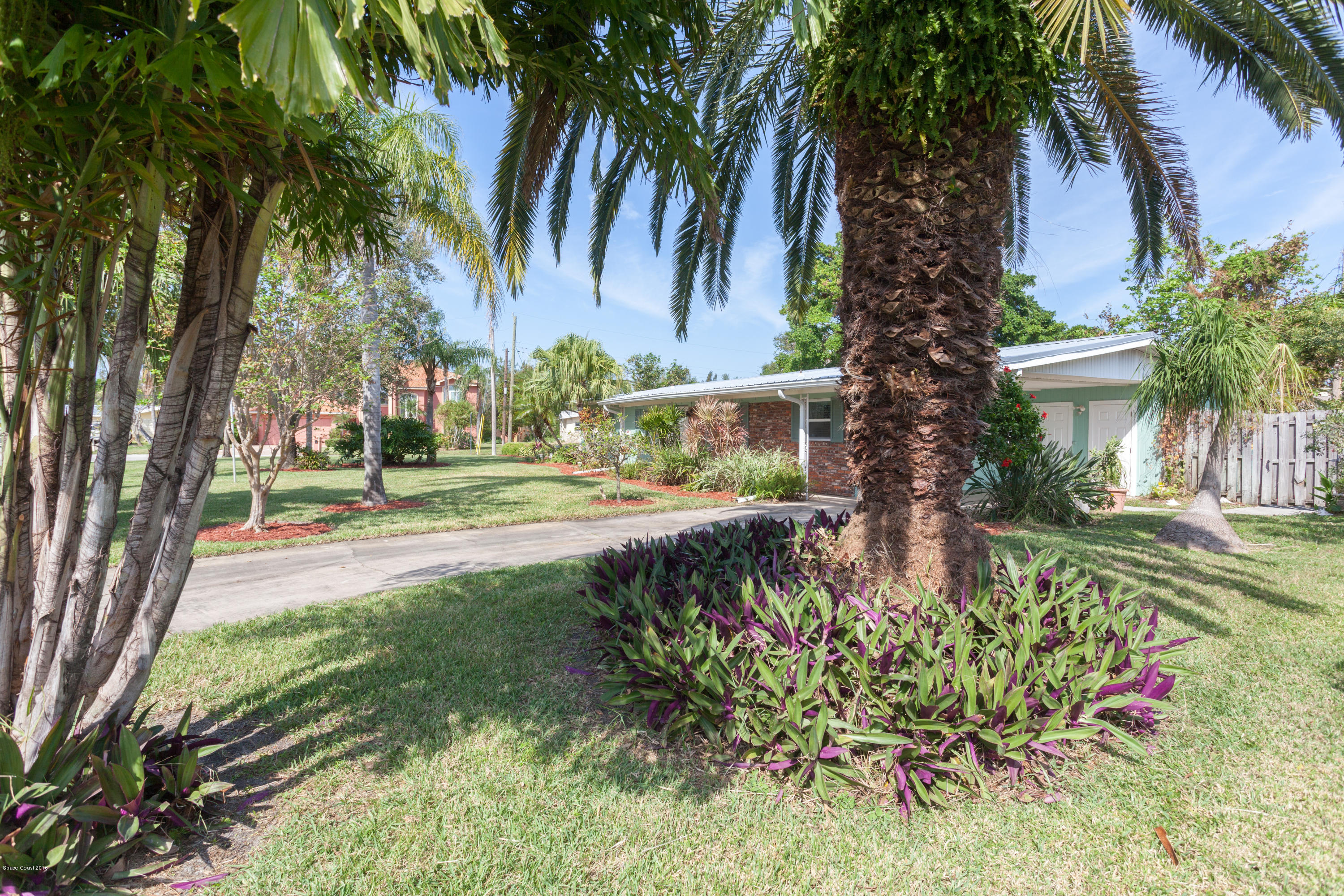 731 Java Road Cocoa Beach, FL 32931 - Photo 15 of 18 a view of a yard with plants and trees