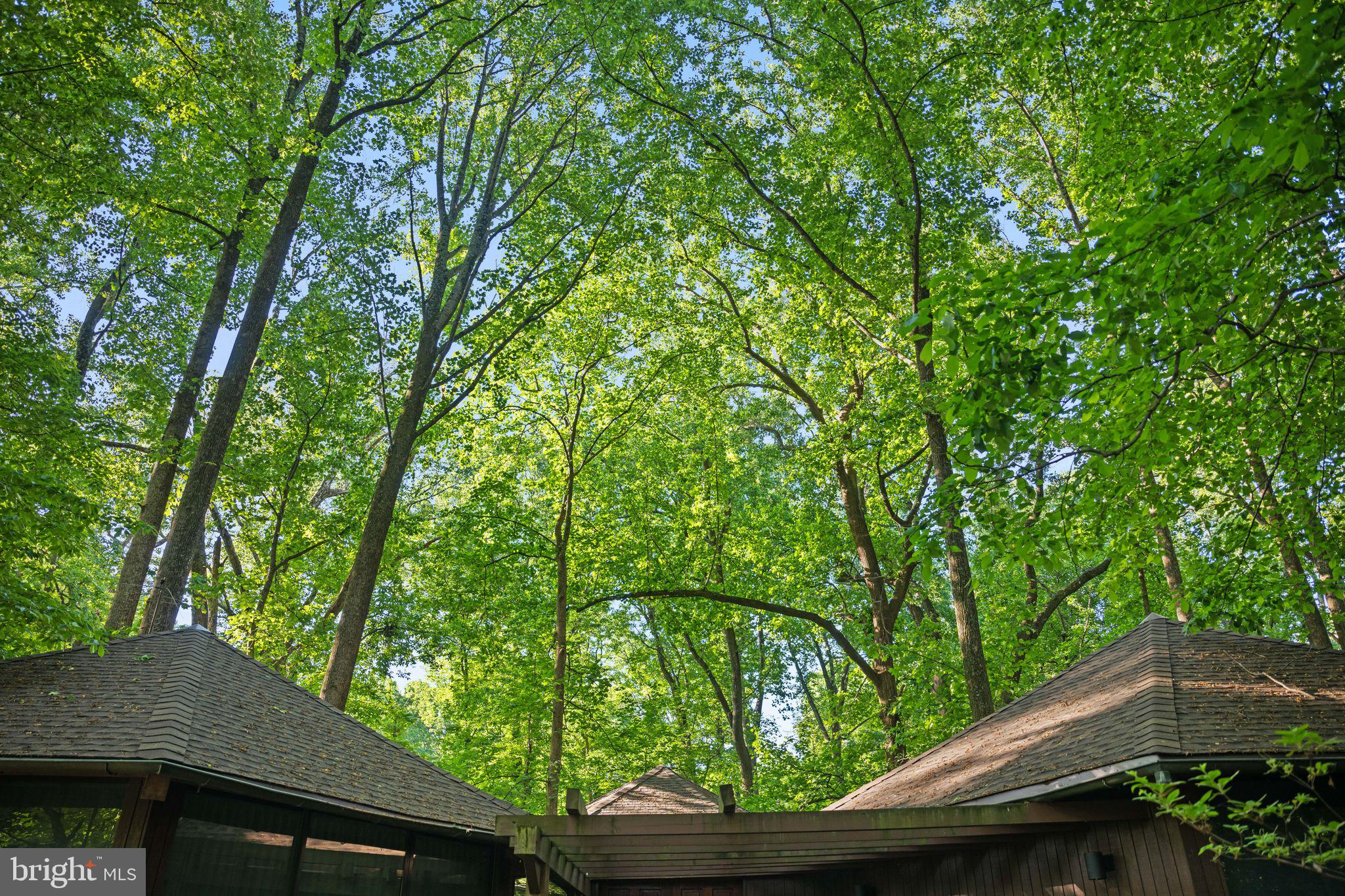 2707 Caves Road Owings Mills, MD 21117 - Photo 76 of 76