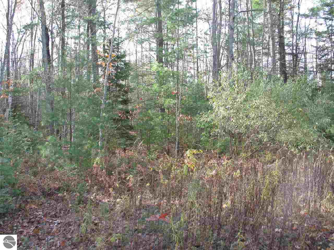 5780 Laird Lake Road Hale, MI 48739 - Photo 5 of 12