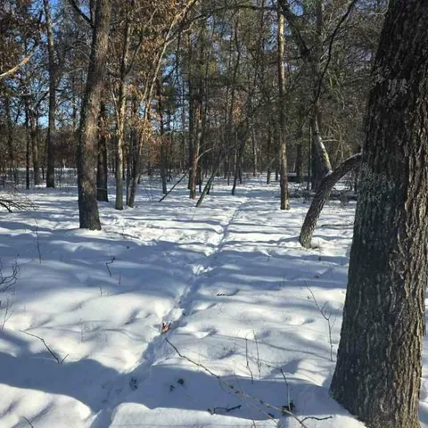 $50,000 | Tbd West River Road, Grantsburg, WI 54840