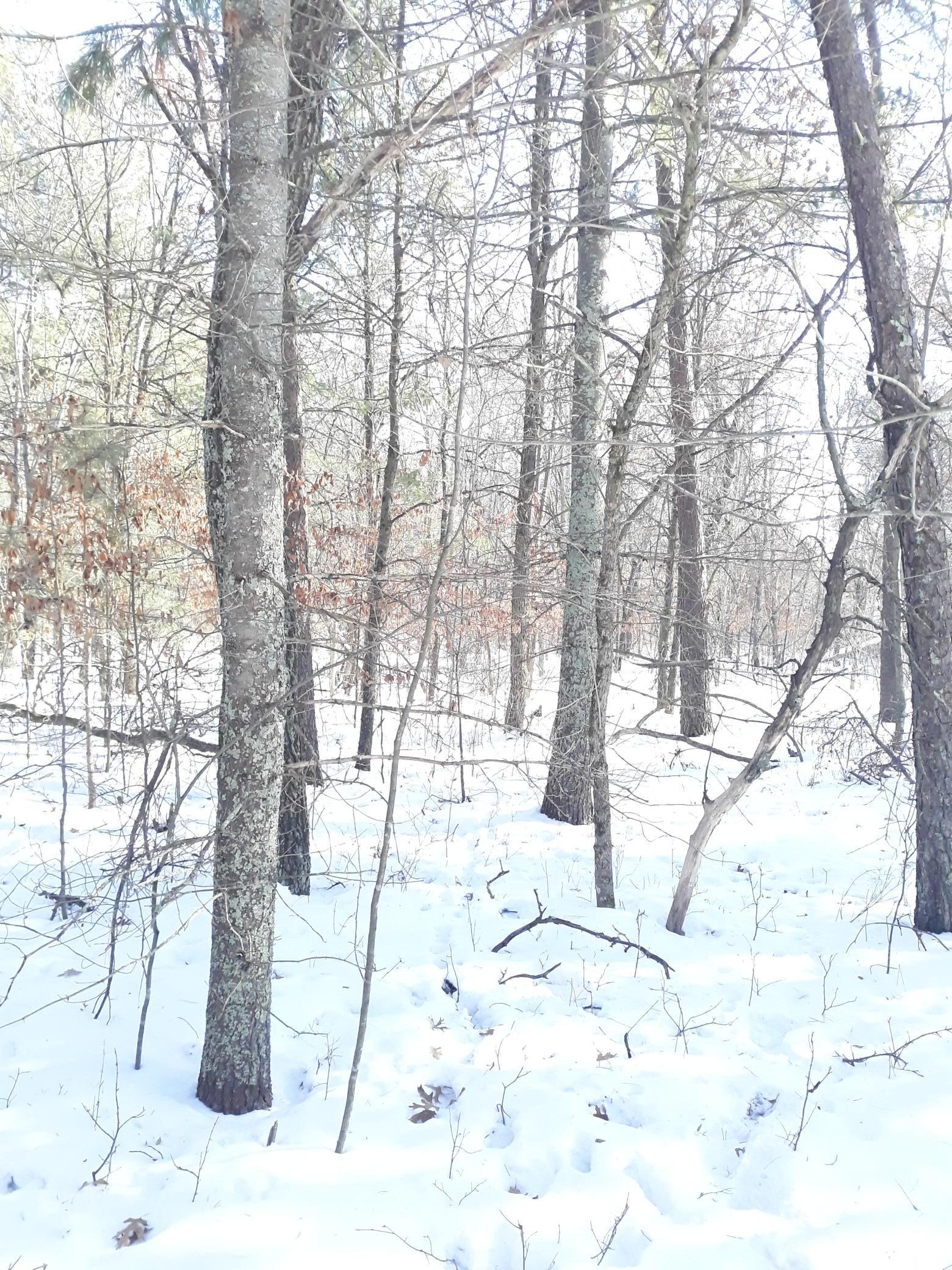 Tbd West River Road Grantsburg, WI 54840 - Photo 3 of 4