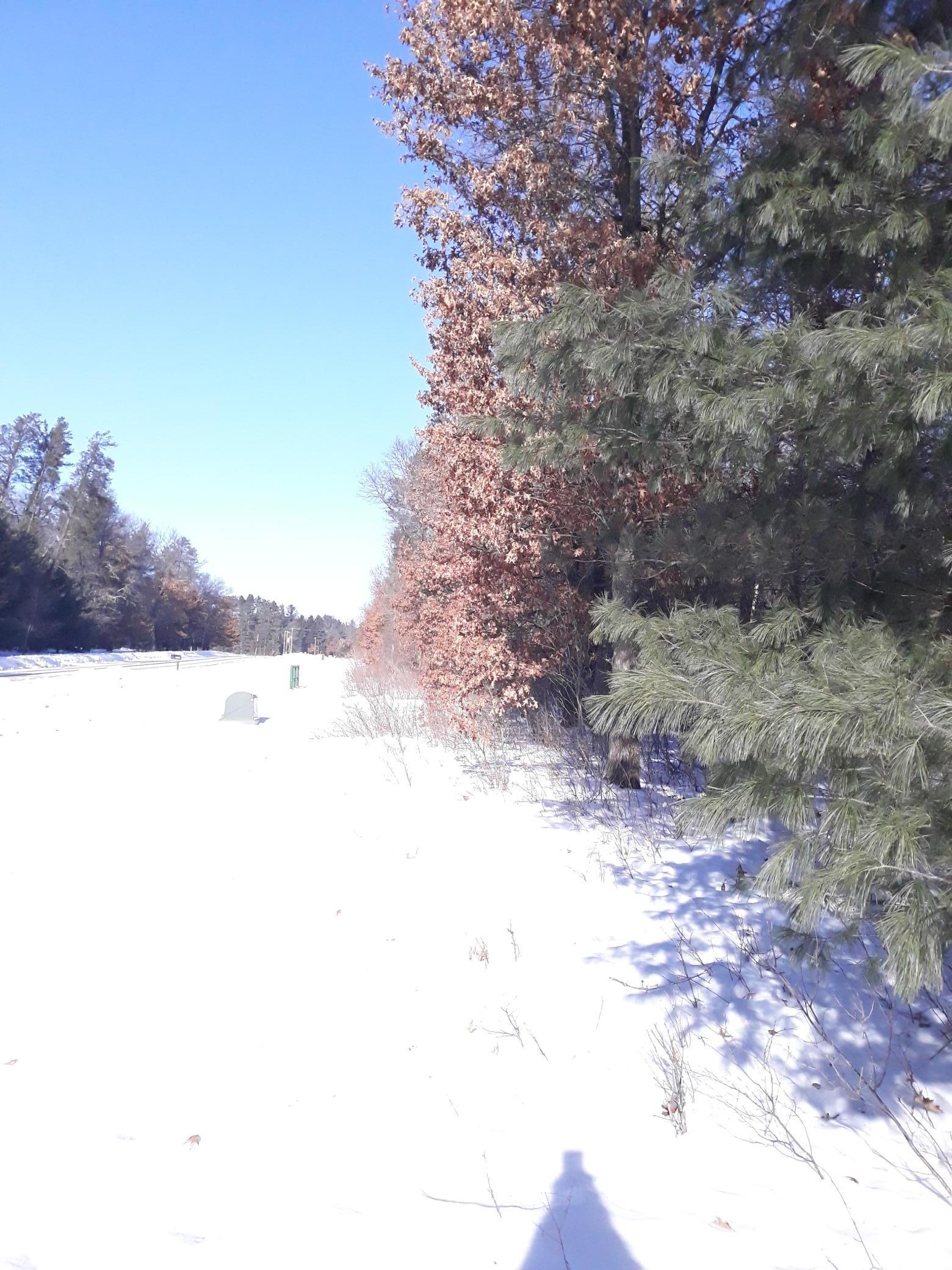 Tbd West River Road Grantsburg, WI 54840 - Photo 4 of 4