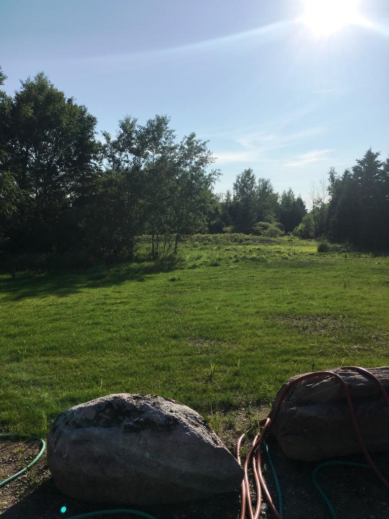 9138 East Goodell Road Angora, MN 55703 - Photo 1 of 1