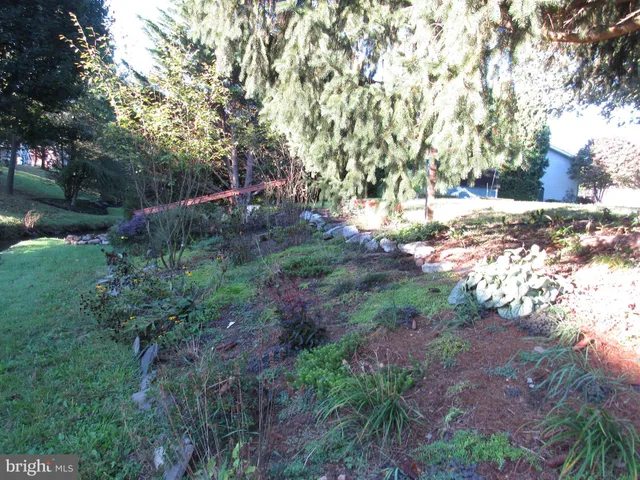 a view of a yard with plants and trees