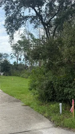 a big yard with lots of green space and plants