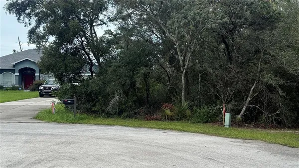 a view of a yard