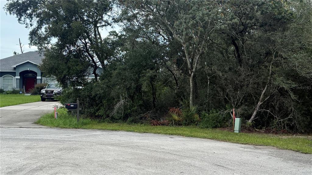 Tbd Southwest 39th Court Ocala, FL 34476 - Photo 5 of 6 a view of a yard